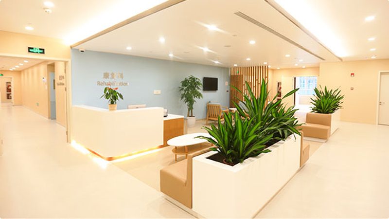 电动爬楼机价格及图片